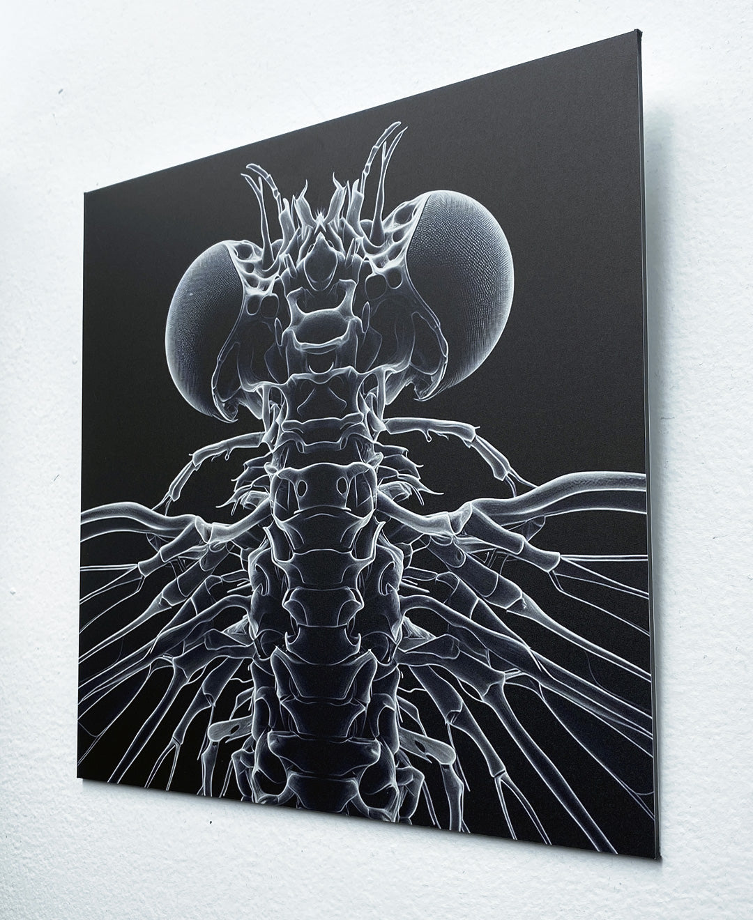 Manon Pretto, Prototype ex0insect 05, 2024