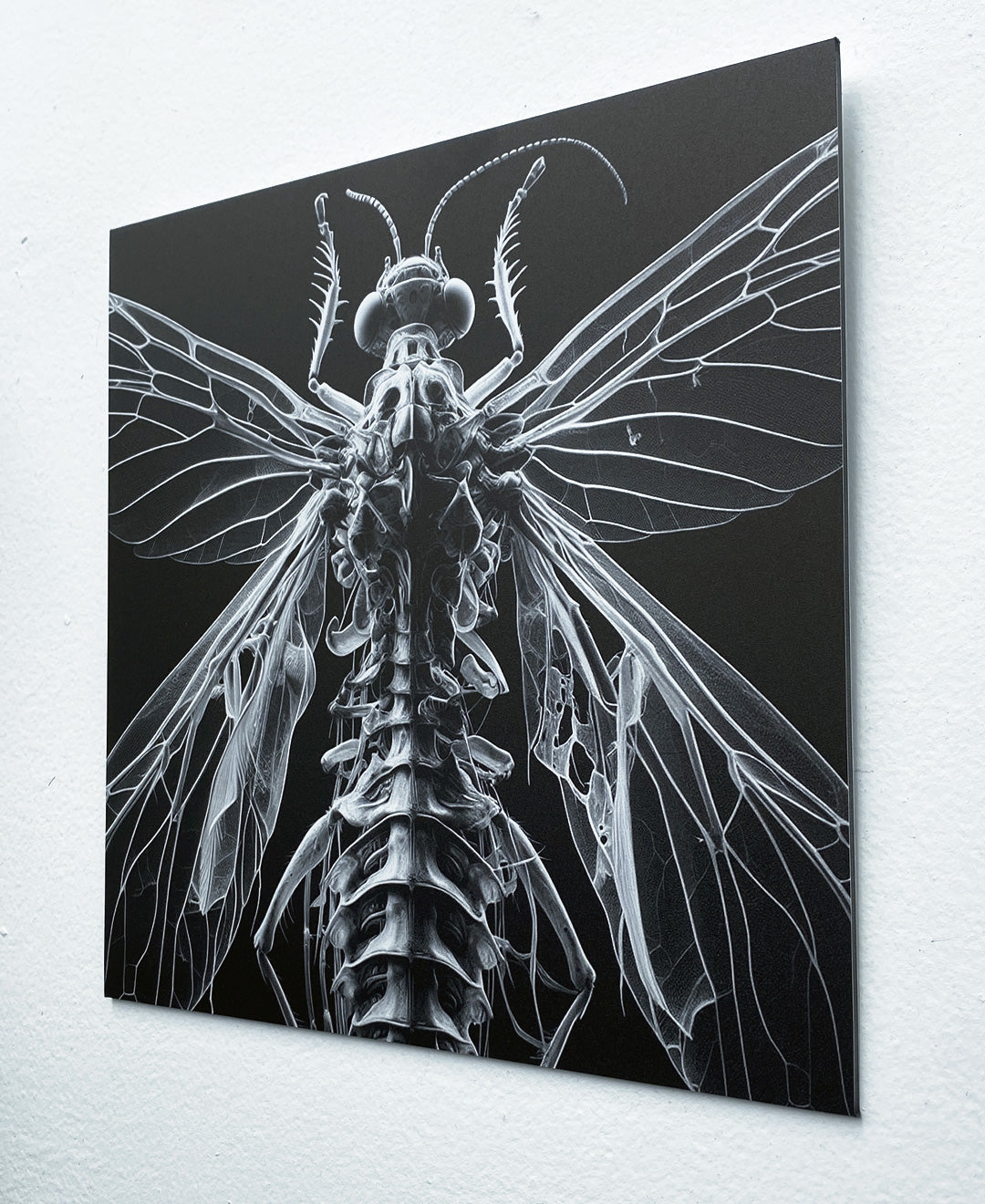 Manon Pretto, Prototype ex0insect 06, 2024