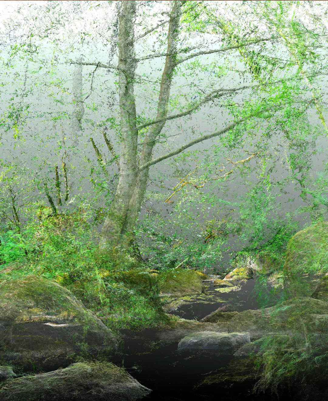 Daniel Bourgais, L’Orne, Normandie, 2023