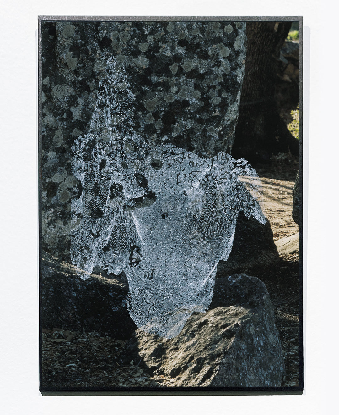 Florence Cardenti & Julien Espagnon, Sisyphe, un lendemain #13, 2021