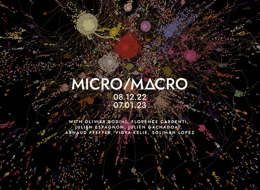 MICRO/MACRO