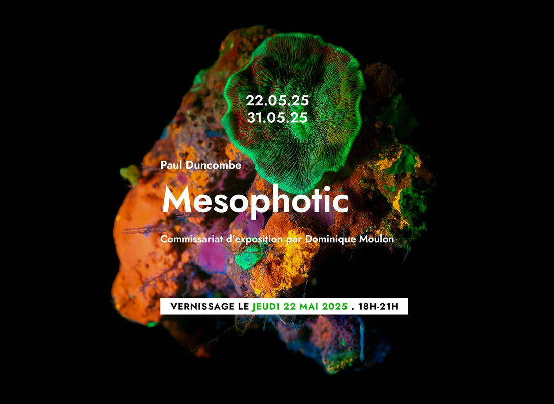 Paul Duncombe, MESOPHOTIC