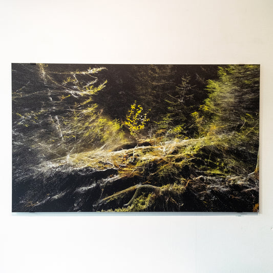 Paul Duncombe, Manicouagan, Ghosts, ARC-III (201-05-03613), 2024