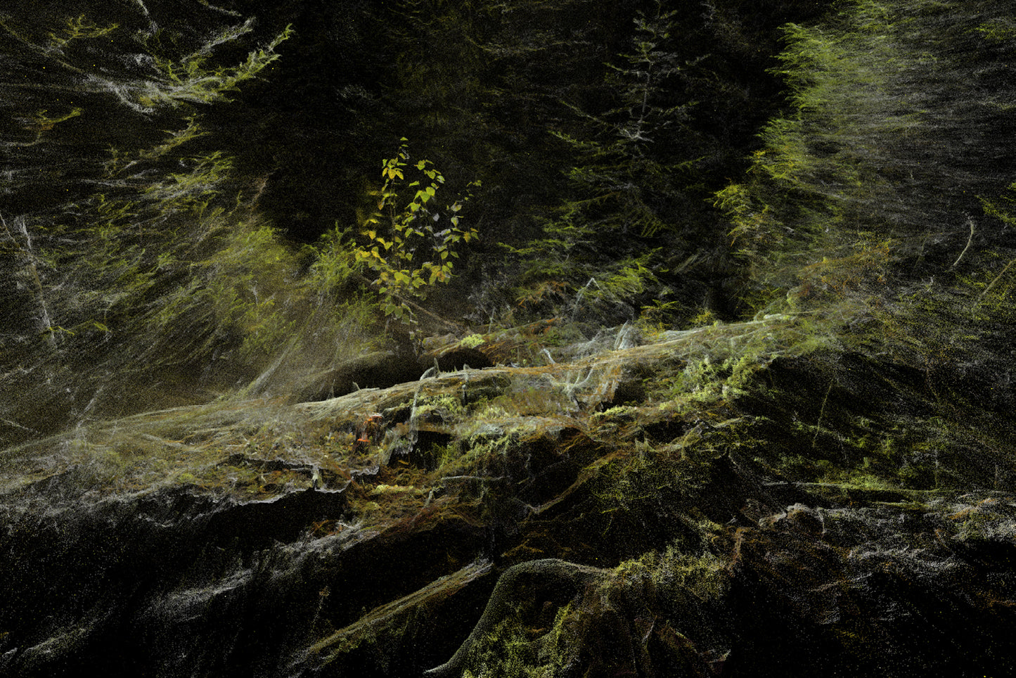 Paul Duncombe, Manicouagan, Ghosts, ARC-III (201-05-03613), 2024